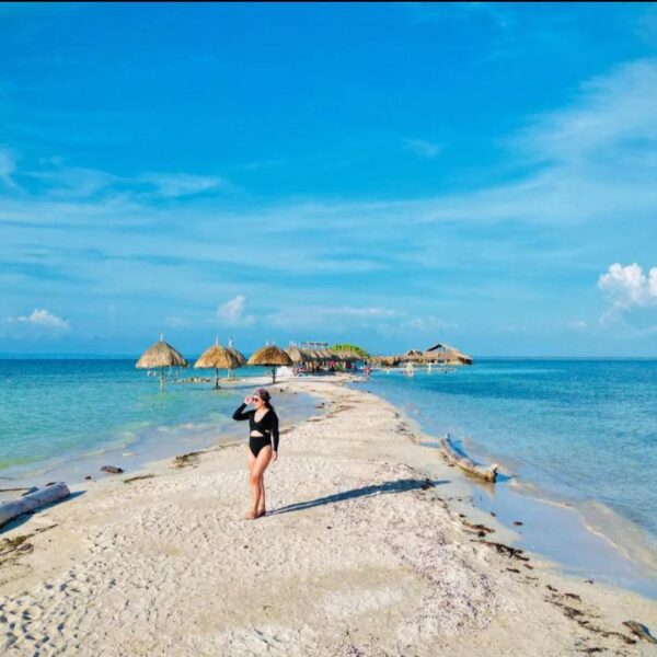 Isla Palma - Image 4